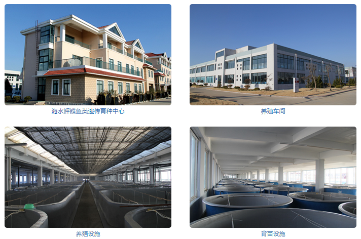 haishuipingdie.png haishuipingdie.png