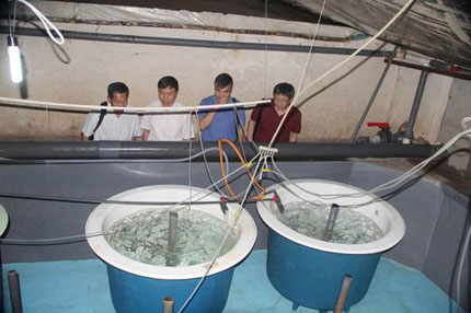 chensiqing2.jpg chensiqing2.jpg