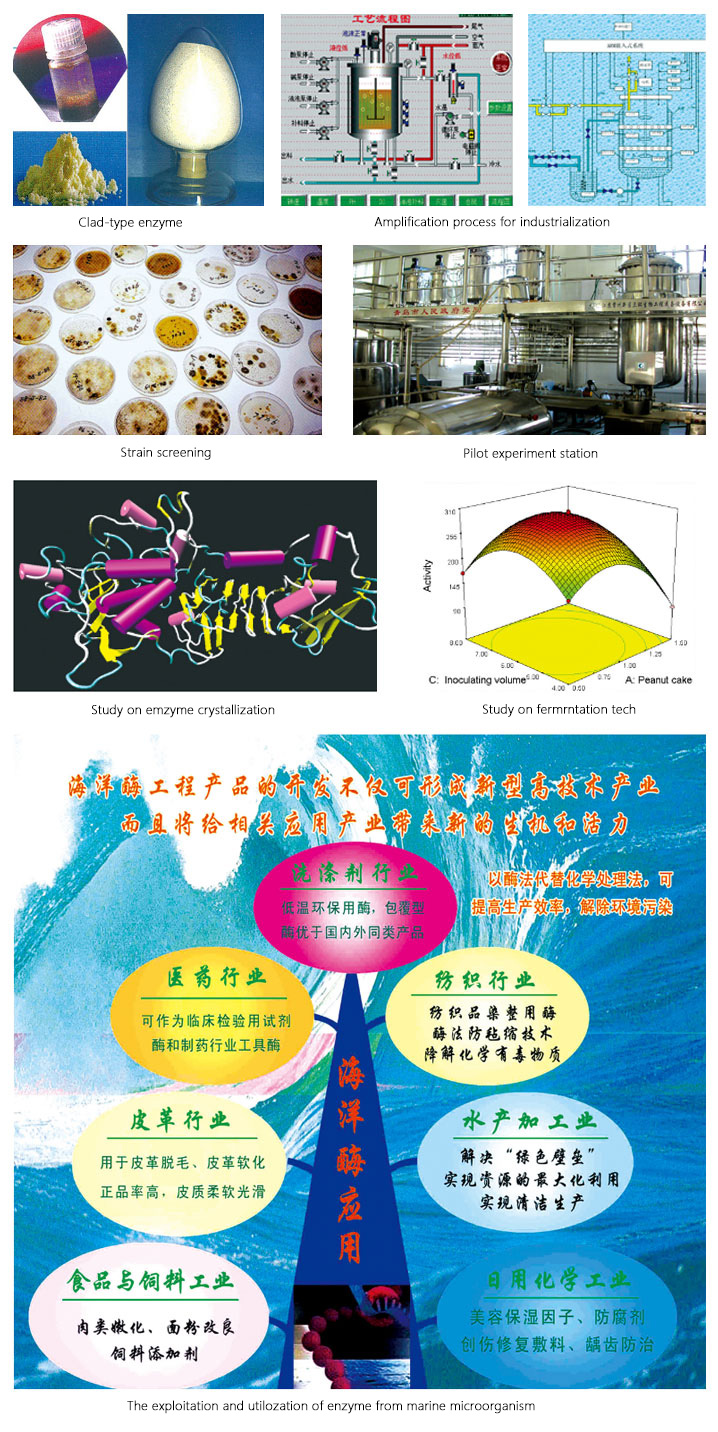 6360056794715287782671188.jpg 6360056794715287782671188.jpg