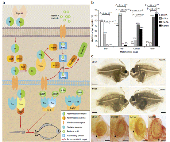 image002.gif image002.gif