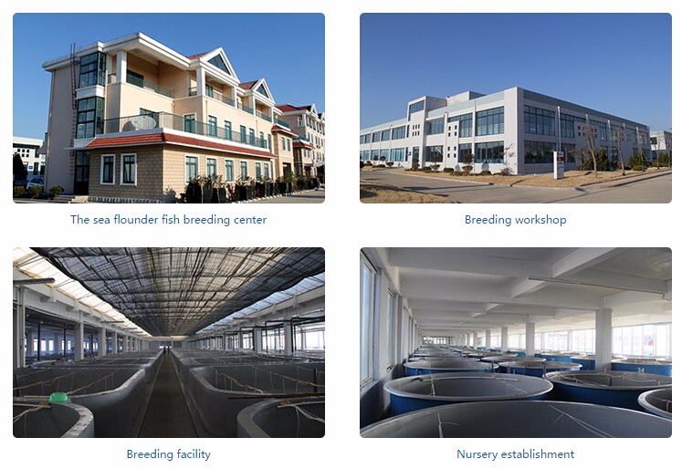 20160623165549.jpg 20160623165549.jpg