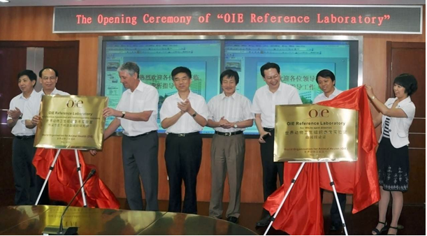 1212123.png 1212123.png