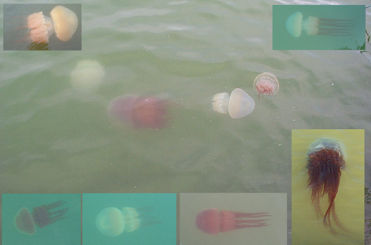 image006.png image006.png