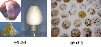 xpzxjs-32.jpg xpzxjs-32.jpg