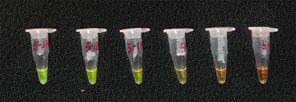 xpzxjs-20-1.jpg xpzxjs-20-1.jpg