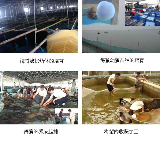 xpzxjs-11.jpg xpzxjs-11.jpg